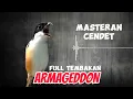 Masteran Cendet Armageddon Full Tembakan Jernih Mudah ditiru