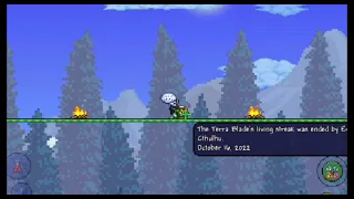 Hive-Five is the strongest early game yoyo in 1 4 4 Terraria