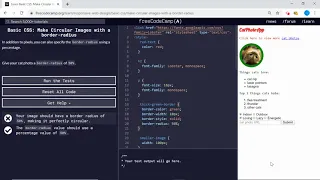 Basic CSS Make Circular Images with a border-radius freeCodeCamp