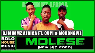 dj mimmz africa molese ft cupid u0026 morongwe original 
