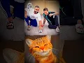 Download Lagu My bombastic toy car 😅 #cat #funny #explore #memes #bombastic #viral #shorts