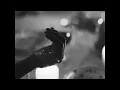 Wait For Me - Luca D'Alberto