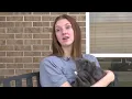 Abilene Animal Services waiving all adoption and reclaim fees