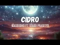 Download Lagu MASDDDHO FT. STASO PRASETYO - CIDRO (LIRIK LAGU)