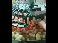 11 de março de 2020