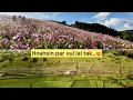 Download Lagu Hnahsin kut lo kal ve ru..@ Champhai (04.10.2025)