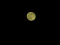 Last major standstill northern moonrise at LA s Griffith Observatory