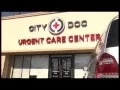 CityDoc Promo