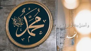 الفهد   و أحسن منك لم تر قط عيني   حس ان بن ثابت          دندنها