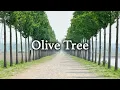 산뜻한 여름 바람 노래 🍃 Quinn XCII - Olive Tree [가사해석/lyrics]