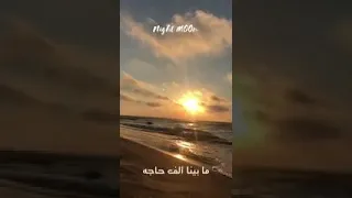 حالات واتس اب   سنة الحياة   نتمنى لحظة تجمعنا بحبايبنا لا بعاد ولا غربة ولا شوق في قلوبنا       دندنها