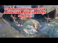 Download Lagu Detik detik tiga pemuda hampir tenggelam di area berbahaya karang Hawu