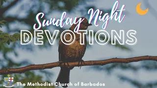 Daily Devotion - September 20th, 2026