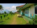 Download Lagu Hidup Di Desa‼️Tinggal Di Rumah Unik Pinggir Sawah Yang Sedang Viral Di Sumedang