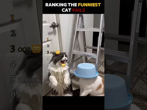 Funniest Cat Fails πΉ | #cats