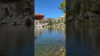 Sally Keys lakes on the John Muir trail. Lots of trout if you like to fish. #hiking #backpacking