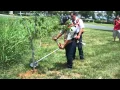 How To Use a Clearing Saw
