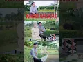 Download Lagu Mangido Marsarak Farro Simamora-Lagu Tapsel#shorts #shots