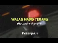 Download Lagu Peterpan - Walau Habis Terang (Slowed + Summer Reverb)