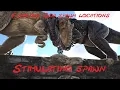 Ark PVE Giga spawn Fjordur Stimulating spawn