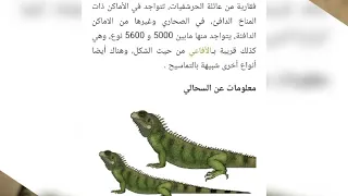 حقائق و معلومات عن السحالي 