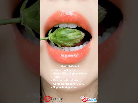 ASMR CACTUS PUP 선인장 자구 サボテンの子株 (Eating Sounds) #asmr #eating #sound