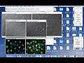 Janes lab image processing