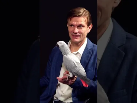 760 - Mluvící žako Adélka v televizi Praha TV 😁👍  #funny