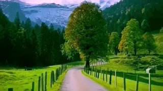 من درر المرحوم الشيخ احمد الوائلي اختيار الزوجة المناسبة 