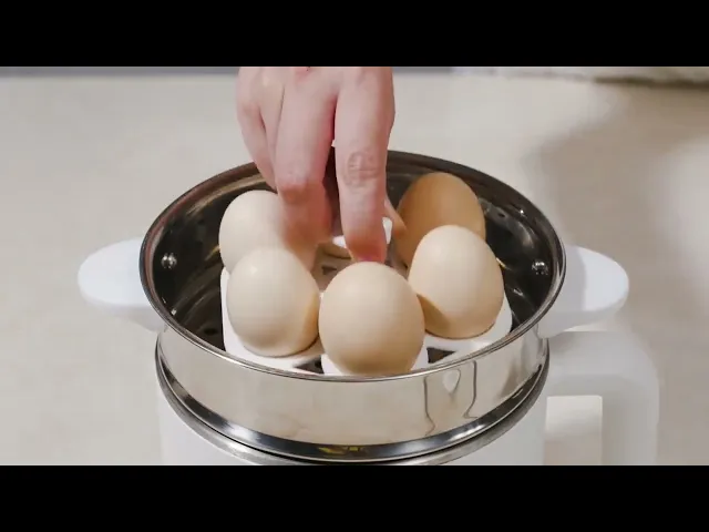 ZOLELE ZC301 หม้อไฟฟ้า 1.6L อเนกประสงค์ 600W