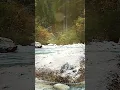 Download Lagu Full video  https://www.youtube.com/watch?v=AN4kmqlN2Bg\u0026t=16s A stream in the forest and birdsong