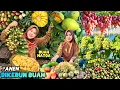 Download Lagu Panen buah segar dikebun | Makan buahbuahan hasil petik sendiri