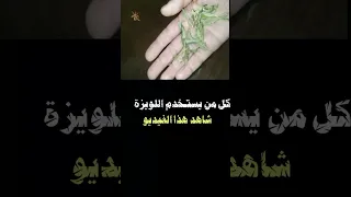 فوائد اللويزة  فوائد دندنها