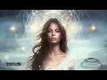 Mosimann & Tribbs   Halo