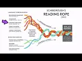 SoR Scarborough s Rope
