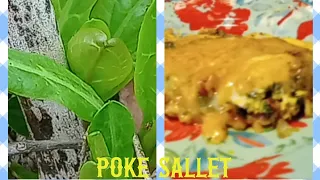 Download Foraging for Poke Sallet on your homestead! #veggies #howtocook MP3