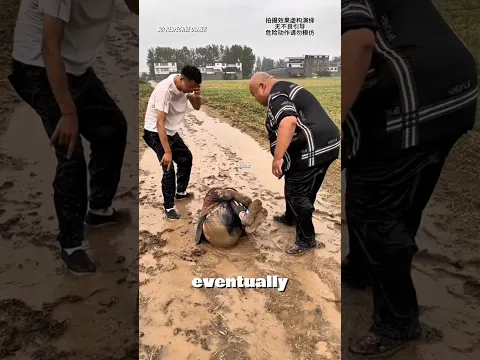 Ditinggal Pacar, Pria Ini Sampai Nggak Bergerak! 😭