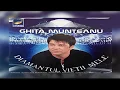 Download Lagu Ghita Munteanu   Diamantul vietii mele   album