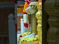 Download Lagu Sai ek Tera Sahara ki Tum bin Kaun hamara 🪔🪔🪔🌹🌹🙏🧑‍🍼🌹🌹🌹🪔🪔🙏🙏🙏