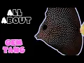 All About The Gem Tang or Zebrasoma Gemmatum or Spotted Tang or Mauritian Tang