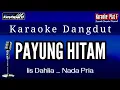 Download Lagu KARAOKE PAYUNG HITAM NADA PRIA IIS DAHLIA