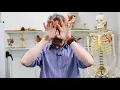 Visual pathways and hemianopia or hemianopsia