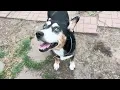 A2060162 Riley bio