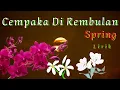 Lagu Cempaka di Rembulan - Spring ( Lirik + )