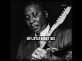 Muddy Waters - Honey Bee (Lyrics) MusicDevolution 