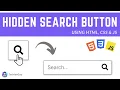 Hidden Search Button using HTML CSS JS for beginners TechieeGuy