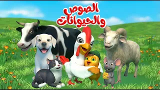 اغنية الصوص والحيوانات اغاني اطفال بون بون دندنها