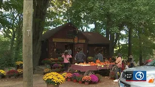 20 Towns The best things about Guilford