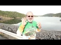 Nubeo Megalodon Mystic Tooth Review | I Took This MONSTER Diving! 🦈