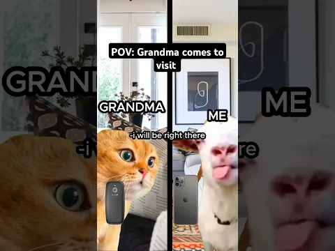 Cat Memes 🐱 Grandma Comes To visit.